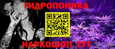 крисы Татарск