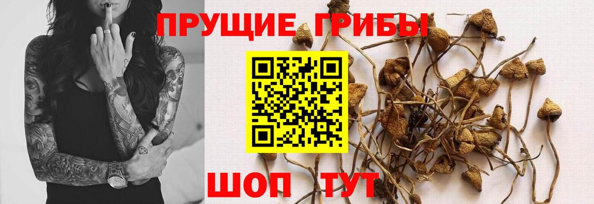 Галлюциногенные грибы Magic Shrooms  Вход с VPN  Нижний Тагил 