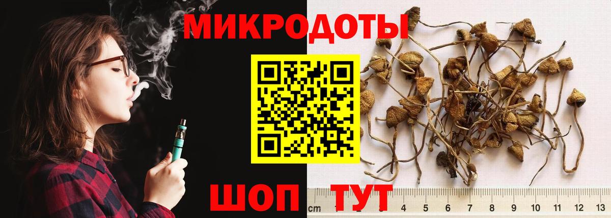 Псилоцибиновые грибы MAGIC MUSHROOMS Нижний Тагил